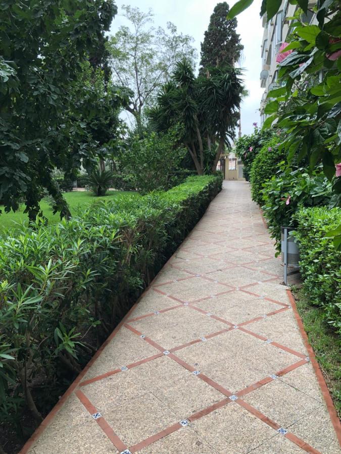 Apartamento Parque 2 Playa De Gandia Екстериор снимка
