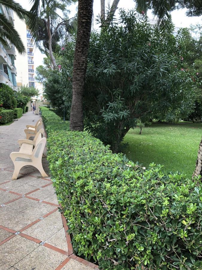 Apartamento Parque 2 Playa De Gandia Екстериор снимка