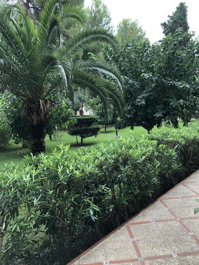 Apartamento Parque 2 Playa De Gandia Екстериор снимка
